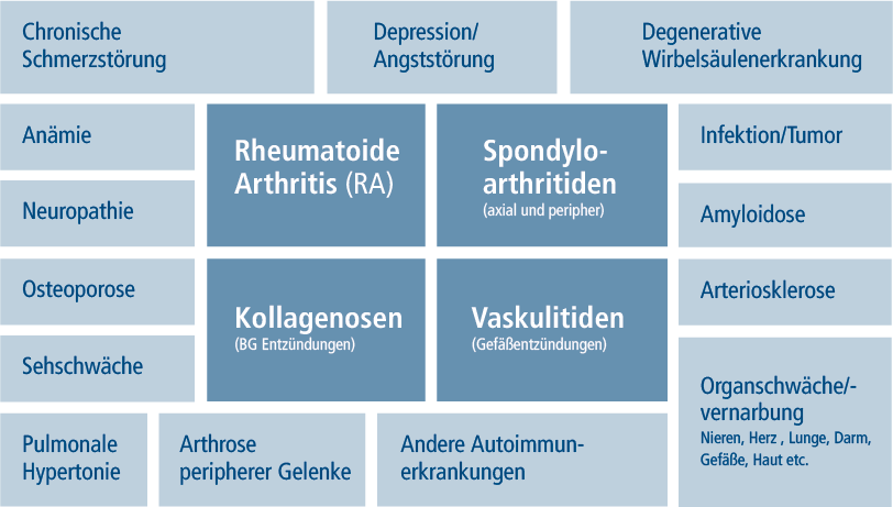 Rheuma Darstellung