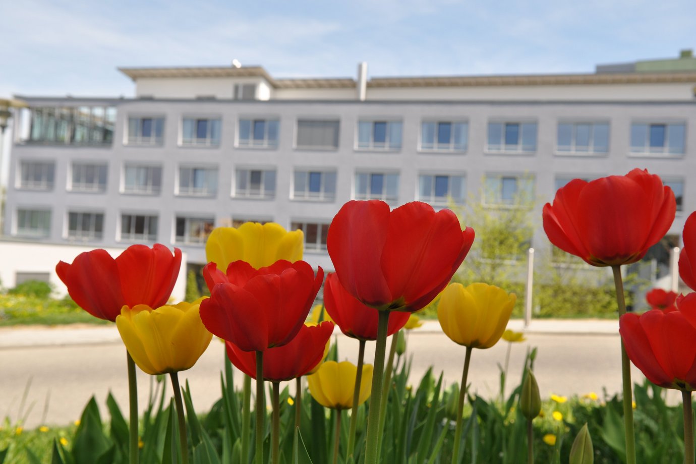 Gebäude der Klinik
