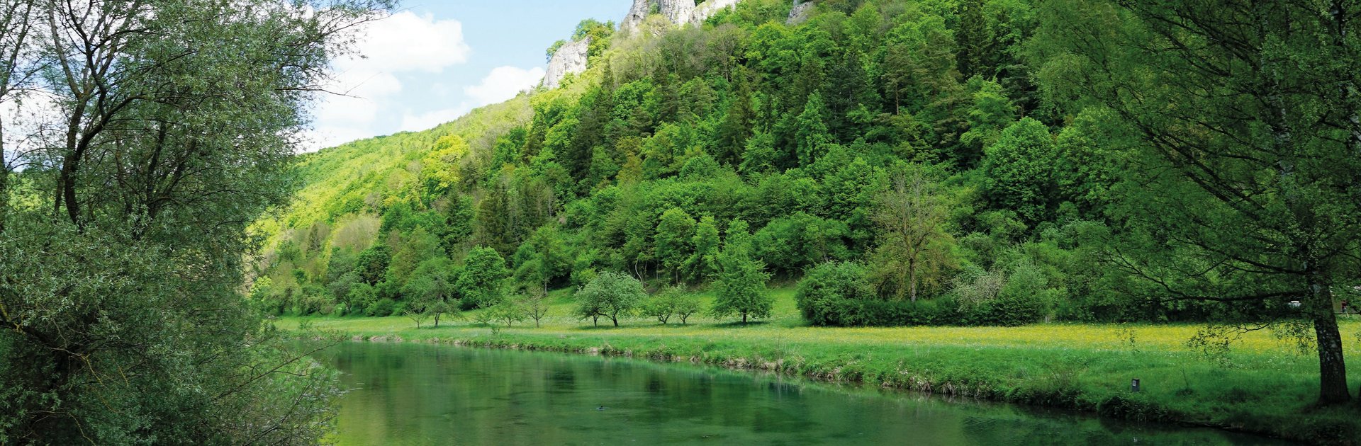 Landschaft am Fluss