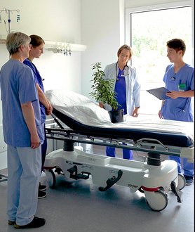 Viste am Bett des Baums