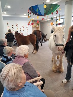 Pferde im Mehrzweckraum des Seniorenzentrums Schelklingen