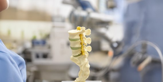 Modell einer Wirbelsäule