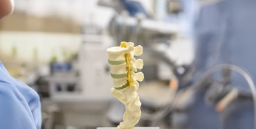 Modell einer Wirbelsäule