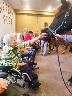 Bewohnerin streichelt ein Pferd
