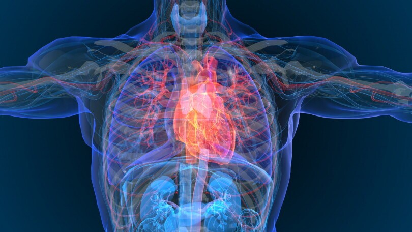 Mitarbeiter Sekretariat (m/w/d) Innere Medizin / Kardiologie, Ehingen, 3. Bild